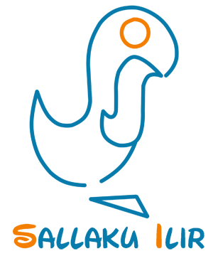 Ilir Sallaku logo